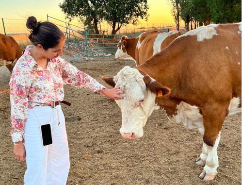 Ganadería Prado Alegre, un proyecto familiar que ha conquistado a Alberto Salto, “el AS de las Carnes”