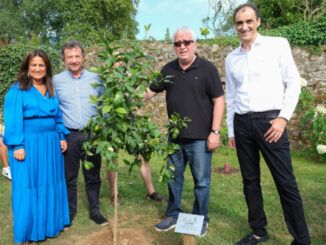 La fiesta fue un éxito pero la solidaridad sigue con los LIMONES SOLIDARIOS de Novales