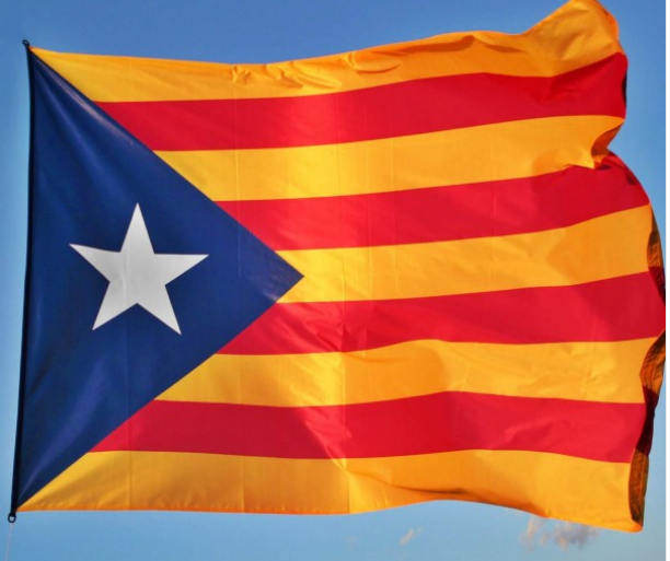 Xavier Navarro, el empresario que hizo negocio con el proceso independentista Xavier Navarro, el empresario que hizo negocio con el proceso independentista