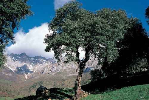 Cantabria extenderá su promoción turística a los mercados de  México, Japón, Corea del Sur y China